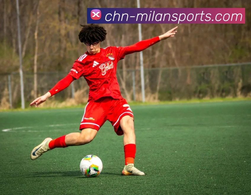 多媒体互动体验